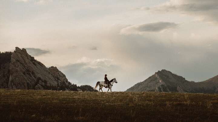 The Taming of the West Featuring Diamond Kitty.