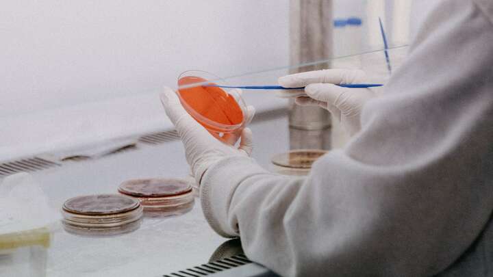 Let the Kids Give it a Try