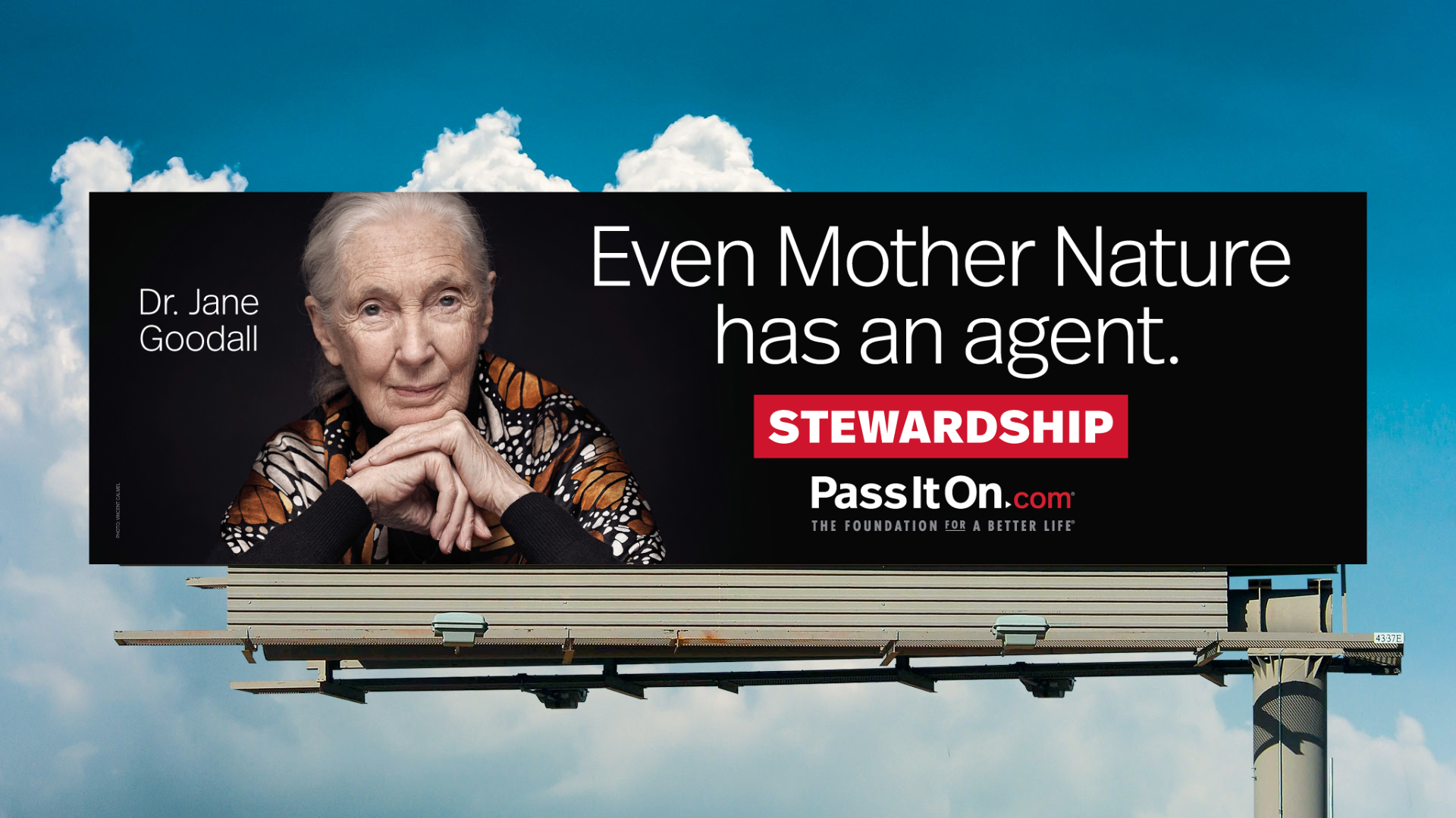 Stewardship Dr. Jane Goodall