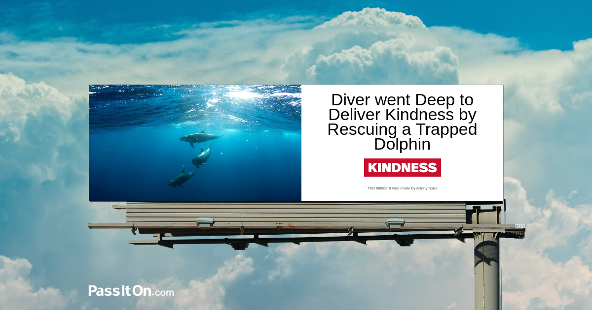 Diver went Deep to Deliver Kindness by Rescuing a Trapped Dolphin.