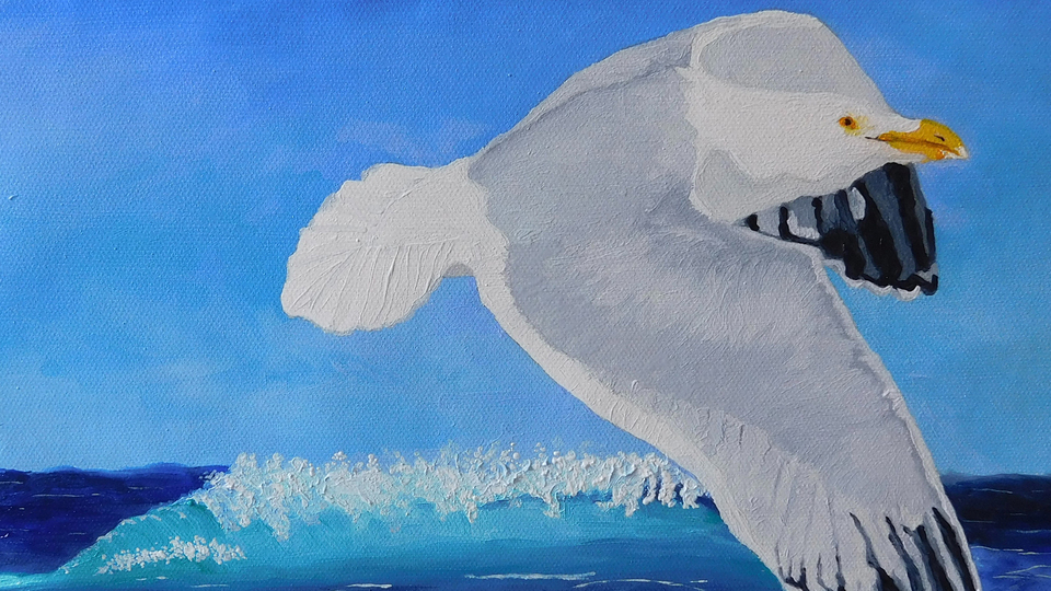 Young Artist Proves It’s Not Your Lifespan, it’s Your Wingspan that matters. 