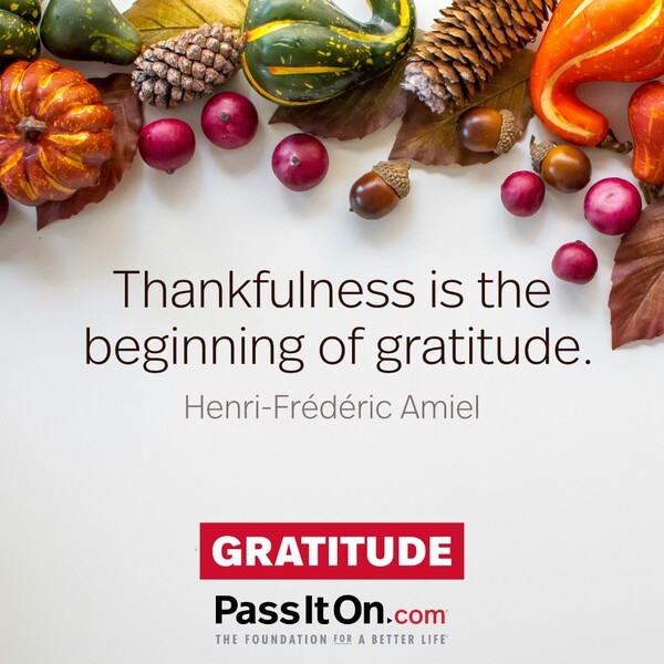 Thankfulness is the beginning of gratitude. #<Author:0x00007f2b221b1918>