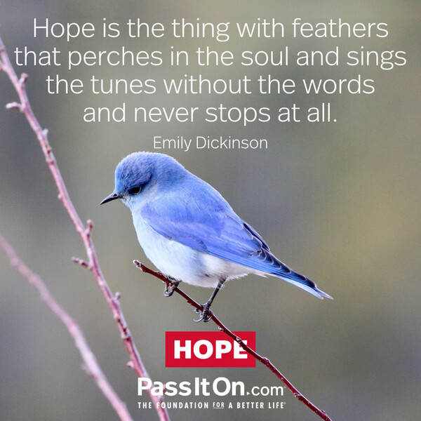 Hope is the thing with feathers that perches in the soul and sings the tunes without the words and never stops at all. #<Author:0x00007f2b2300d480>