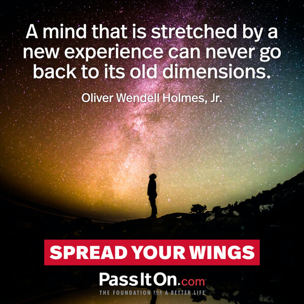 A mind that is stretched by a new experience can never go back to its old dimensions. #<Author:0x00007f2b220911a0>