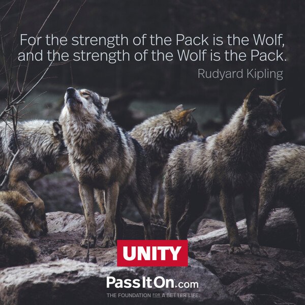 For the strength of the Pack is the Wolf, and the strength of the Wolf is the Pack.  #<Author:0x00007f2b220d7f88>