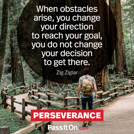 When obstacles arise, you change your direction to reach your goal, you do not change your decision to get there. #<Author:0x00007f58c5aaa648>