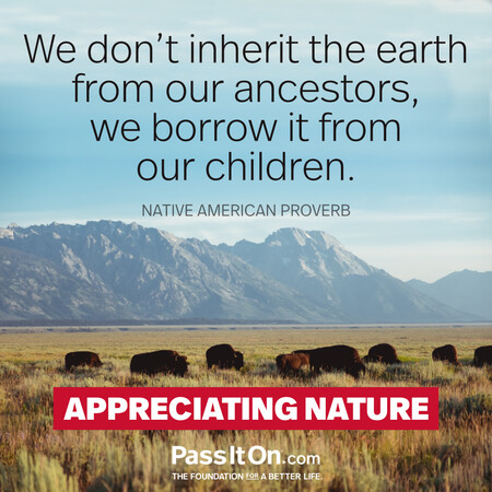 We do not inherit the land from our ancestors, we borrow it from our children.  #<Author:0x00007f58c5aa5b48>