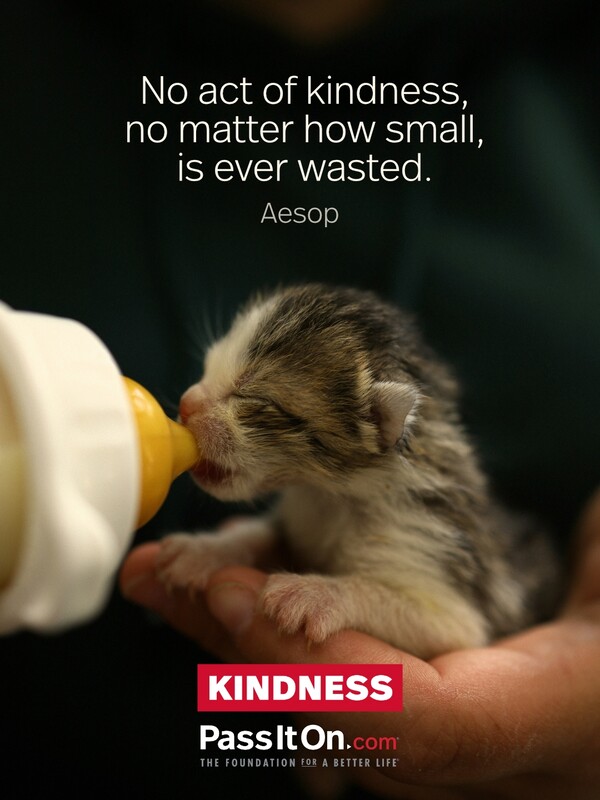 No act of kindness, no matter how small, is ever wasted. #<Author:0x00007f1ae9a7cd20>