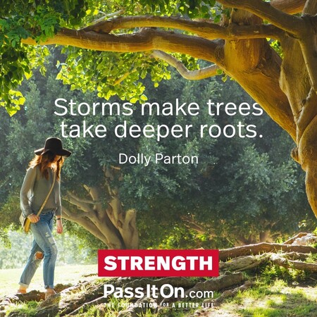 Storms make trees take deeper roots. #<Author:0x00007f58c68fdfd8>