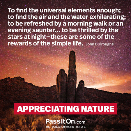 To find the universal elements enough; to find the air and the water exhilarating; to be refreshed by a morning walk or an evening saunter... to be thrilled by the stars at night—these are some of the rewards of the simple life. #<Author:0x00007f9eb0231698>