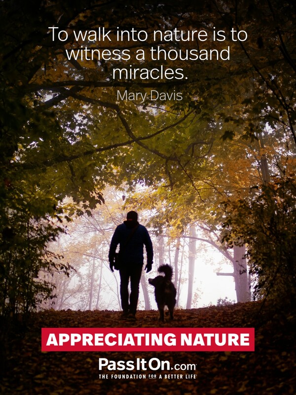 To walk into nature is to witness a thousand miracles. #<Author:0x00007f2b21b85148>