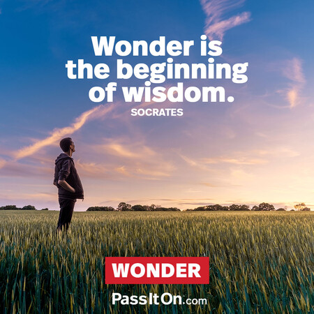 Wonder is the beginning of wisdom. #<Author:0x00007f1ae99c0dc8>