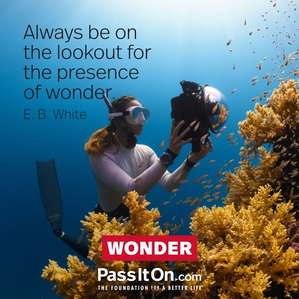 Always be on the lookout for the presence of wonder. #<Author:0x00007f2b21c20f08>