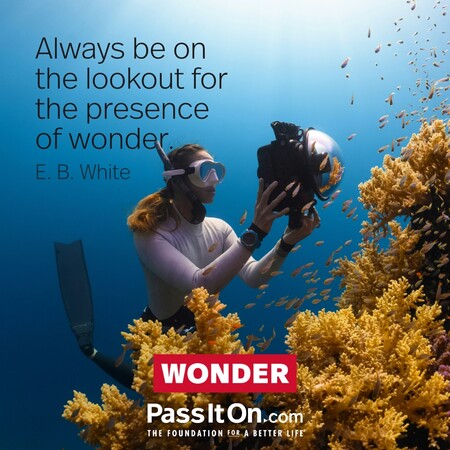 Always be on the lookout for the presence of wonder. #<Author:0x00007f58c57049d0>
