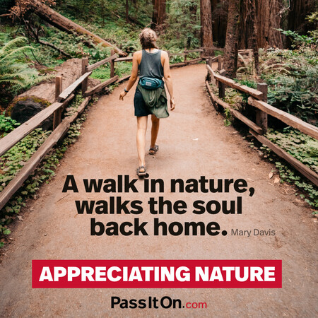 A walk in nature, walks the soul back home. #<Author:0x00007f1ae801e9d8>