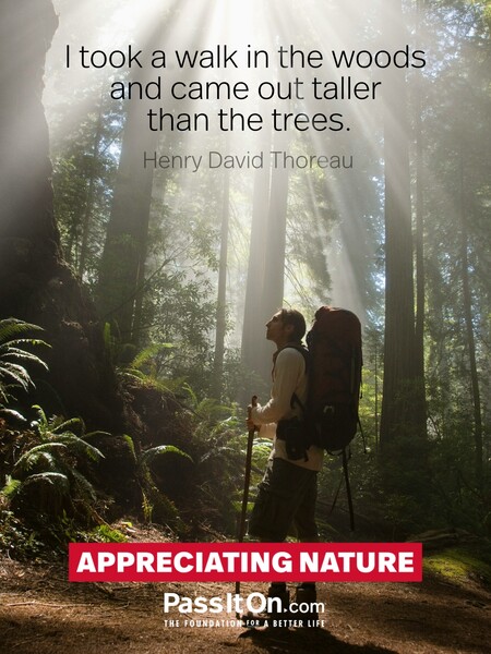 I took a walk in the woods and came out taller than the trees. #<Author:0x00007f2b21b1f3c0>