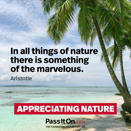 In all things of nature there is something of the marvelous. #<Author:0x00007f2b21c49610>