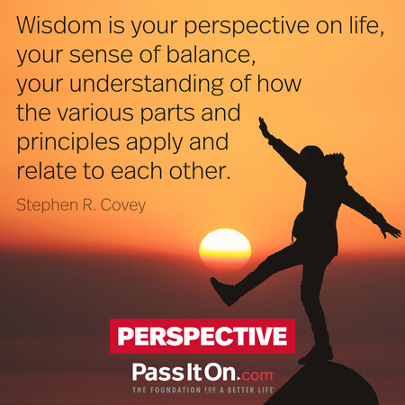 Wisdom is your perspective on life, your sense of balance, your understanding of how the various parts and principles apply and relate to each other. #<Author:0x00007f2b21ae1048>